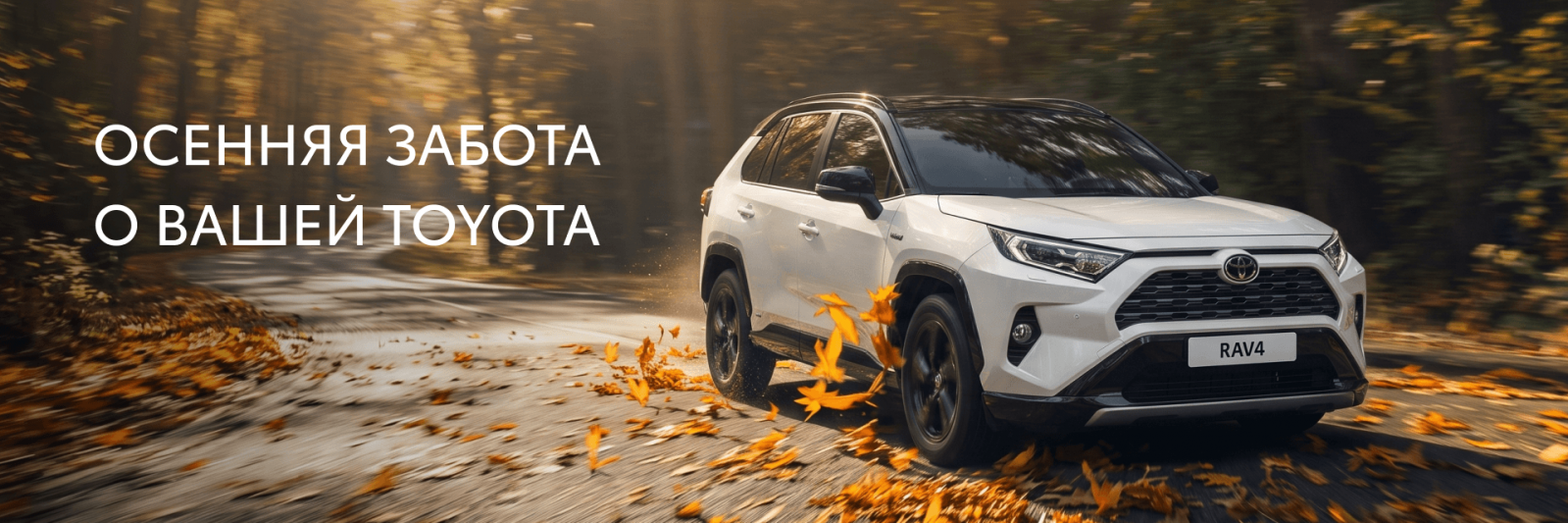Изображение на странице Тойота Центр Минск — официальный дилер Toyota в Минске Тойота Центр Минск